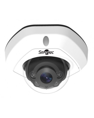 IP-камера видеонаблюдения уличная купольная Smartec STC-IPM3540/1 в Нижнем Новгороде IP-камеры Pintop.ru