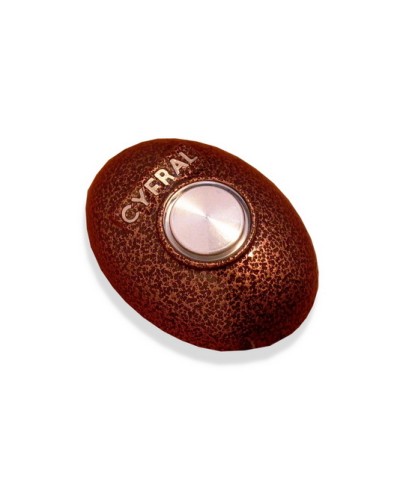 Кнопка открывания двери Цифрал КОДсП-4 в Нижнем Новгороде Многоабонентные устройства Pintop.ru