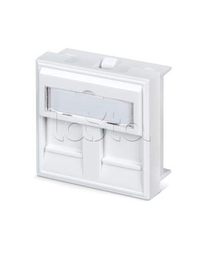 Вставка 45x45 (аналог Mosaic) для 2 модулей формата Keystone Jack Cabeus FP-45-2M в Нижнем Новгороде Модули Keystone Pintop.ru