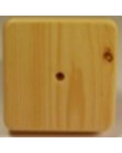 Коробка распаячная, с винтом, 100x100x20 (50 шт/уп) ПожТехКабель 030-009 в Нижнем Новгороде Распределительные коробки Pintop.ru