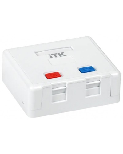 Корпус настенной розетки для 2 мод. Keystone Jack ITK (CS2-022) в Нижнем Новгороде Коннекторы Pintop.ru