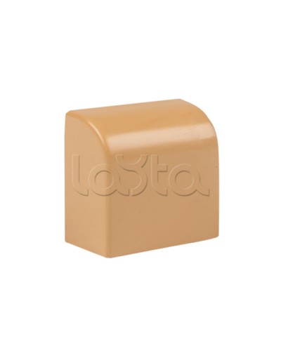 Заглушка (40х16) (4 шт) светлое дерево EKF-Plast (ecl-40-16x4) в Нижнем Новгороде Аксессуары для кабель-канала Pintop.ru