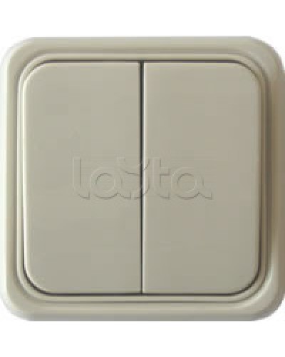 Выключатель двухклавишный открытой установки Экопласт, схема 5, (бежевый) в Нижнем Новгороде Розетки компьютерные и телефонные Pintop.ru