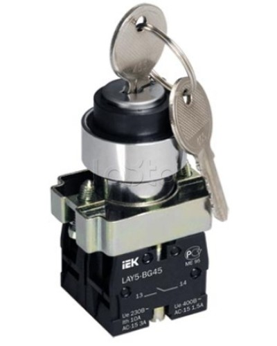 Переключатель LAY5-BG45 на 2 положения с ключом без фиксации IEK BSW80-BG-2-K02 в Нижнем Новгороде Аксессуары для стоек и шкафов Pintop.ru