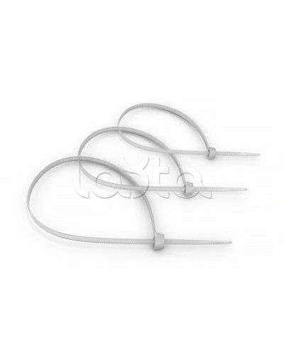 Стяжка нейлоновая неоткрывающаяся, безгалогенная (halogen free) 100x2.5мм, (100 шт) Cabeus CT-100 в Нижнем Новгороде Аксессуары для кабель-канала Pintop.ru