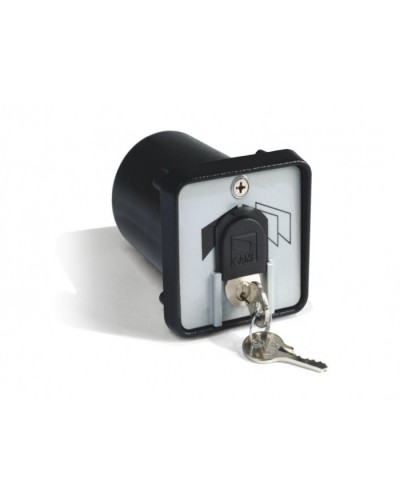 Ключ-выключатель с защитой цилиндра, встраиваемый Came 001SET-K в Нижнем Новгороде Запчасти для шлагбаумов и автоматики Pintop.ru