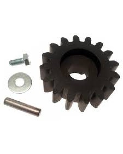 Шестерня для цепной передачи Came 119RIBK036 в Нижнем Новгороде Запчасти для шлагбаумов и автоматики Pintop.ru