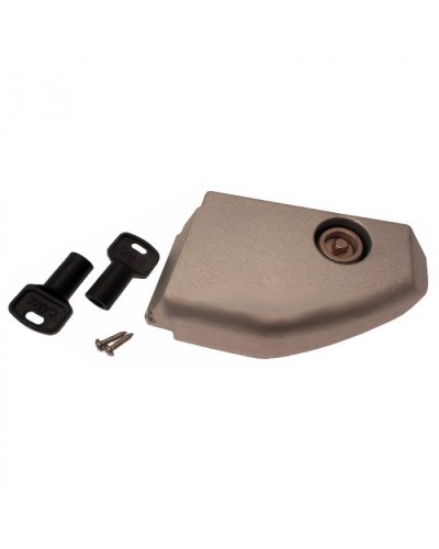 Дверца разблокировки с замком BX Came 119RIBX008 в Нижнем Новгороде Запчасти для шлагбаумов и автоматики Pintop.ru