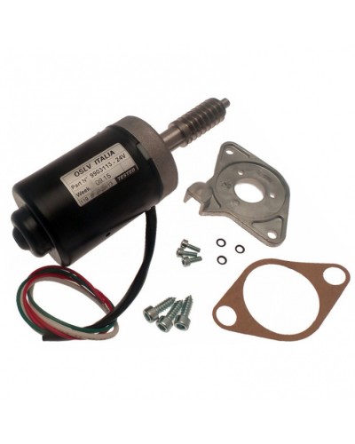 Электродвигатель BX-243 в сборе Came 119RIBX046 в Нижнем Новгороде Запчасти для шлагбаумов и автоматики Pintop.ru