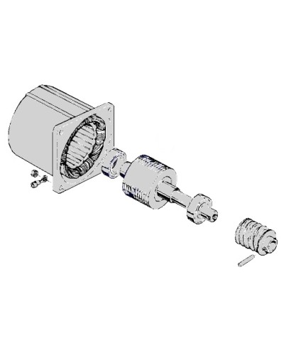 Электродвигатель С-100 Came 119RIC052 в Нижнем Новгороде Запчасти для шлагбаумов и автоматики Pintop.ru