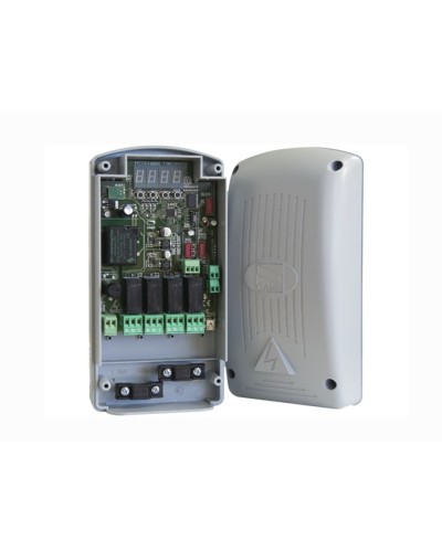 Радиодекодер Came 806RV-0010 в Нижнем Новгороде Запчасти для шлагбаумов и автоматики Pintop.ru