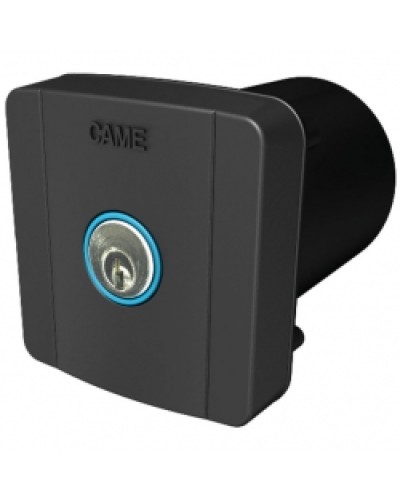 Ключ-выключатель встраиваемый Came 806SL-0020 в Нижнем Новгороде Запчасти для шлагбаумов и автоматики Pintop.ru