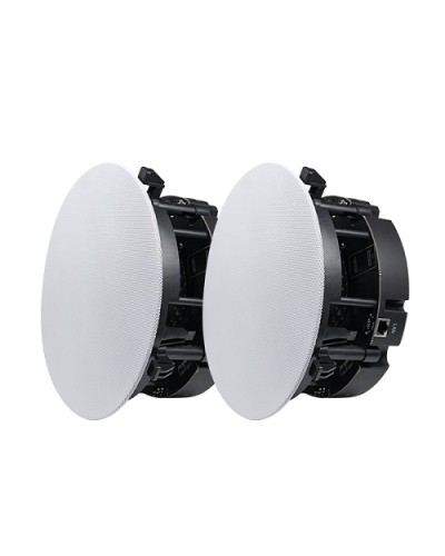 Двухполосный потолочный динамик DSPPA DW-2235 в Нижнем Новгороде Система оповещения и трансляции Dsppa Pintop.ru