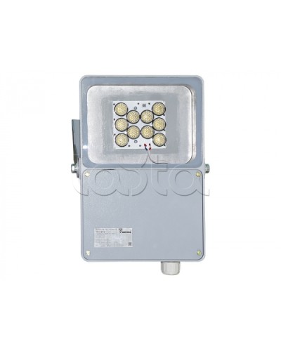 Прожектор светодиодный Forteza ФОСФОР-40/60-А (металл) в Нижнем Новгороде Аксессуары для средств охраны периметра Pintop.ru