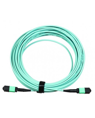 Сборка кабельная LANMASTER (LAN-12M-12M/OM3B-15) в Нижнем Новгороде Коннекторы Pintop.ru