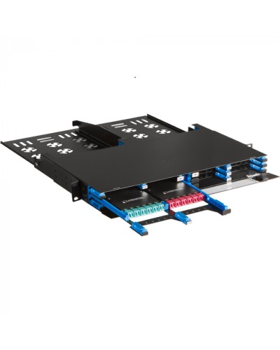 Бокс 19 на 12 компактных кассет MPO, 1U, черный LANMASTER (LAN-FOBM-12MCC-1U) в Нижнем Новгороде Патч-корды оптические Pintop.ru