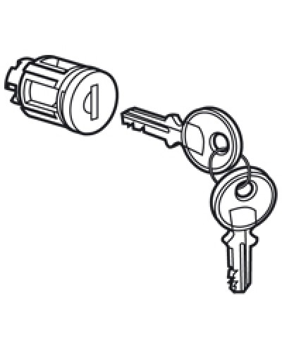 Цилиндр встроенный под ключ №405 Legrand 020291 в Нижнем Новгороде Дополнительное оборудование для сетей Pintop.ru
