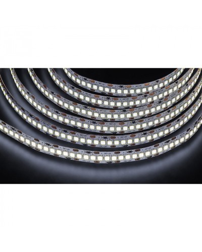 Лента светодиодная Navigator 14 459 NLS-2835CW240-24-IP20-12V в Нижнем Новгороде Источники света(Лампы) Pintop.ru