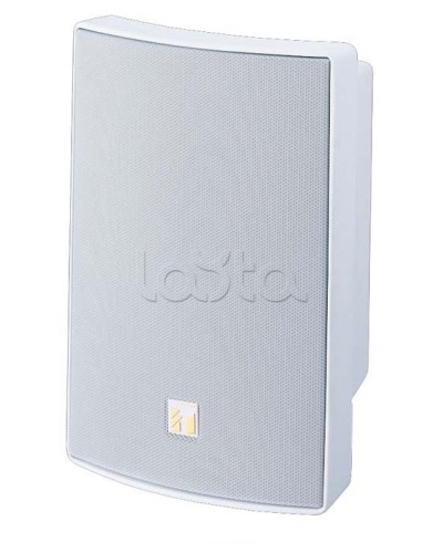 Громкоговоритель универсальный двухполосный TOA BS-1030W в Нижнем Новгороде Системы оповещения и трансляции TOA Pintop.ru