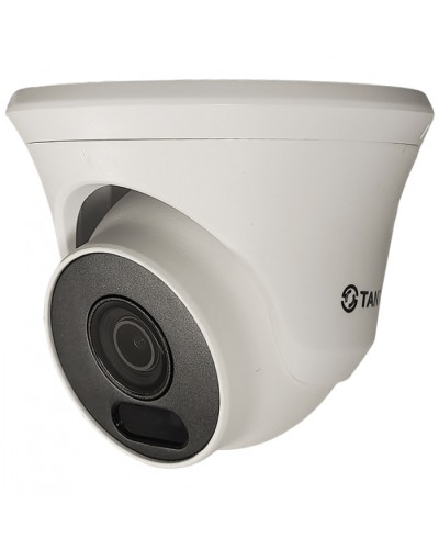 Видеокамера в купольном исполнении уличная Tantos TSc-Ee2FN в Нижнем Новгороде Системы видеонаблюдения Pintop.ru
