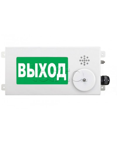 Табло световое взрывозащищенное Спектрон ТСВ-Exm-М-Прометей-МИНИ 220В в Нижнем Новгороде Оповещатели Ex Pintop.ru