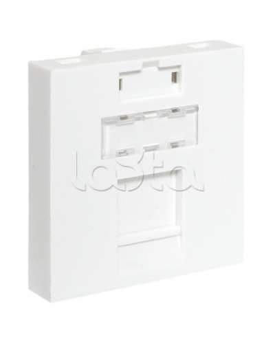 Вставка розеточная TERACOM PRO 45x45мм формат Mosaic на 1 модуль Keystone белая EKF (TRP-INS-MOS-2M1P-WH) в Нижнем Новгороде Розетки компьютерные и телефонные Pintop.ru