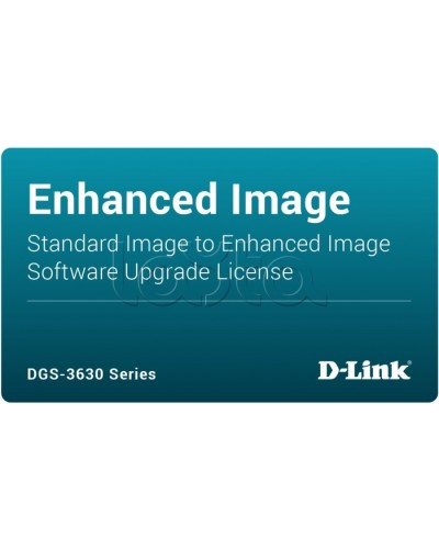 ПО D-Link DGS-3630-28TC-SE-LIC в Нижнем Новгороде Беспроводное оборудование Pintop.ru